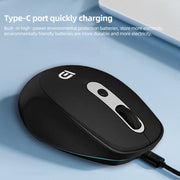 FD M900E 2.4 GHz Şarjlı Kablosuz Mouse 1600 DPI USB-C – Siyah