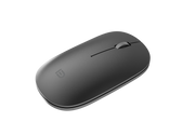 FD E318D 2.4 GHz + Bluetooth Çift Bağlantılı Şarjlı Kablosuz Mouse 600 mAh - Titanyum